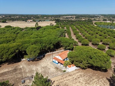 Quinta à venda em Santo André (Santiago do Cacém)