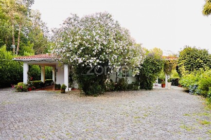 Quinta à venda em Cm1616, 953