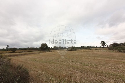 Quinta à venda em Caria