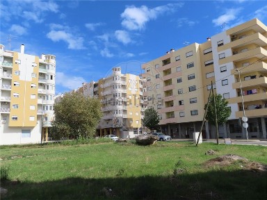 Quinta à venda em Salgueiro do Campo