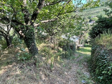 Quinta à venda em Fundão - Valverde - Donas - Aldeia de Joanes - Aldeia Nova do Cabo