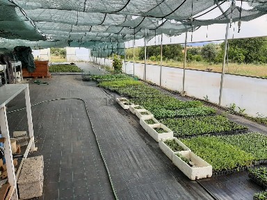 Quinta à venda em Ladoeiro