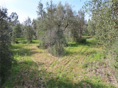 Quinta à venda em Penamacor