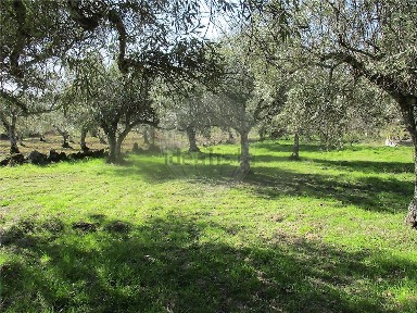 Quinta à venda em Penamacor