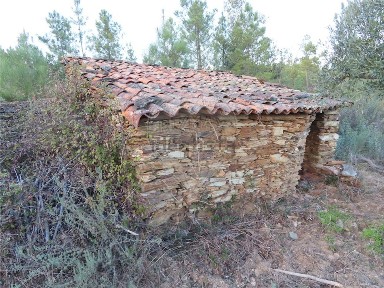 Quinta à venda em Santo André das Tojeiras