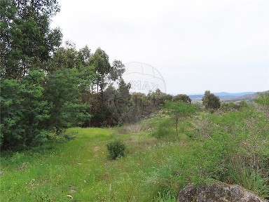 Idanha-a-Nova, Castelo Branco