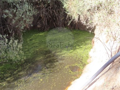 Quinta à venda na Póvoa de Atalaia e Atalaia do Campo