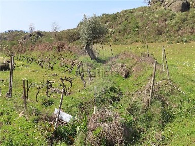 Quinta à venda em Penamacor