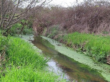Quinta à venda em Idanha-a-Nova e Alcafozes