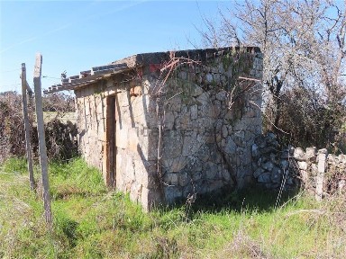 Quinta à venda em Oledo
