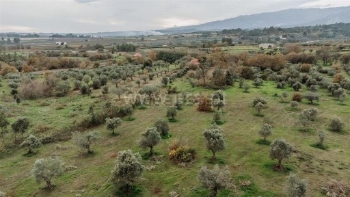 Quinta à venda em Alpedrinha