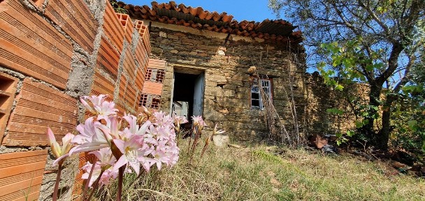 Quinta à venda em Santo André das Tojeiras