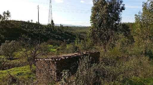 Quinta à venda em Fratel