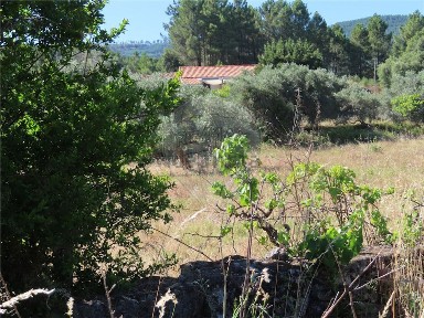 Quinta à venda em Fundão - Valverde - Donas - Aldeia de Joanes - Aldeia Nova do Cabo