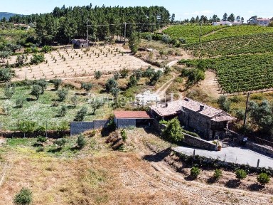 Quinta à venda em Sobreira Formosa e Alvito da Beira
