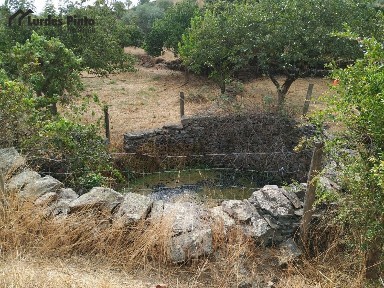 Quinta à venda em Mata
