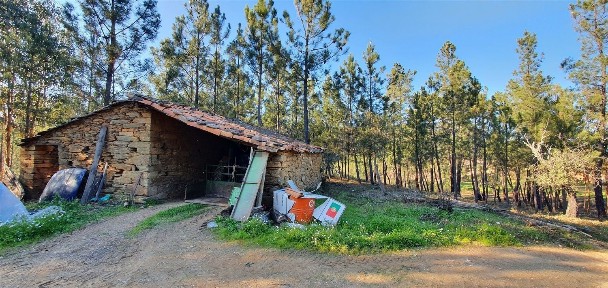 Quinta à venda em Sarzedas