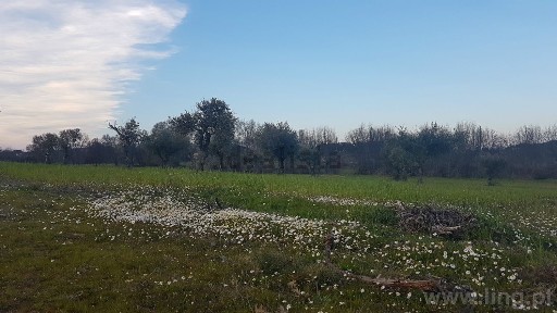 Quinta à venda em Castelo Branco