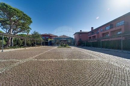 Apartamento T3 à venda na Rua Palmeiras