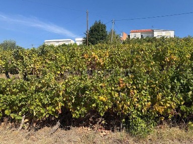 Quinta à venda em Fontelas
