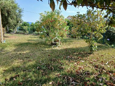 Quinta à venda em Arcozelo das Maias