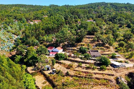 Moradia independente à venda em Picota s/n