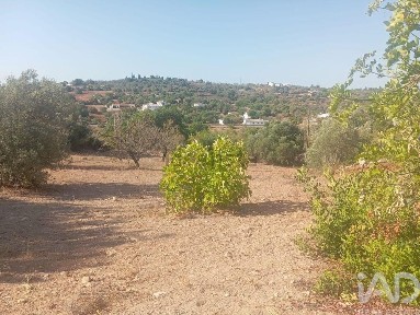 Casa ou moradia à venda em Boliqueime