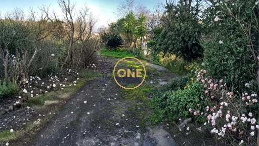 Quinta à venda em Olaia e Paço
