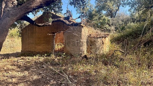 Quinta à venda em São Teotónio