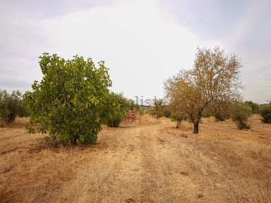 Quinta à venda em Vale de Vargo