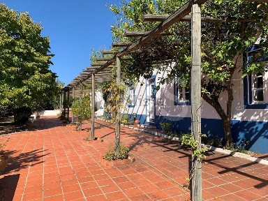 Quinta à venda em vale de bufão