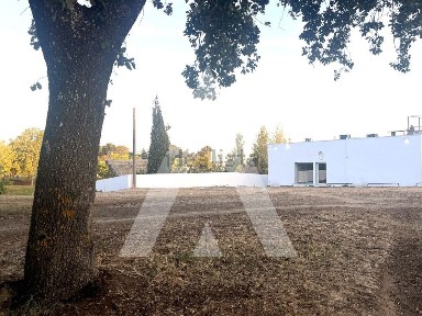 Arrendamento de espaço comercial em Malagueira e Horta das Figueiras