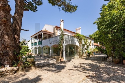 Quinta à venda na Rua Patriarca Dom José s/n