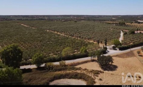 Quinta à venda em Montargil