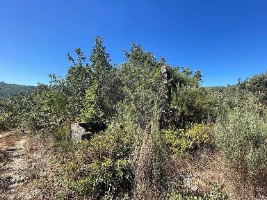 Quinta à venda em Lagares da Beira