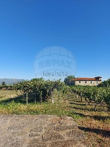 Quinta à venda em Arnoia
