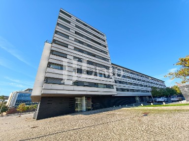 Parque das Nações, Expo Norte, Rua do Reno