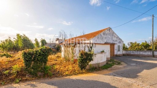 Albergaria-a-Velha, Aveiro