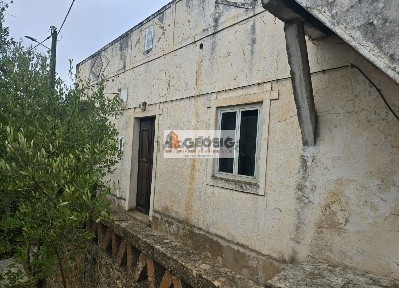 Quinta à venda em São Barnabé