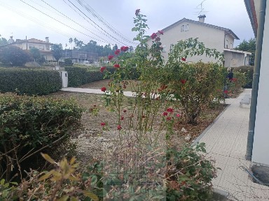 Moradia independente à venda em São João de Lourosa