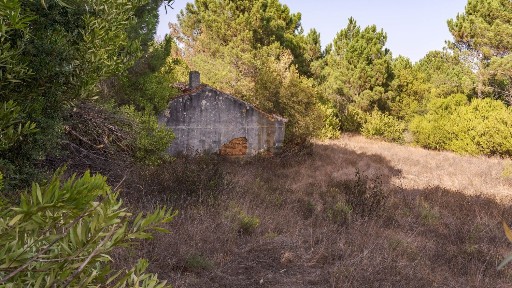 Quinta à venda em Carrascalinho s/n