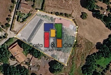 Tondela, Viseu