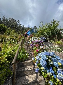 Arrendamento de moradia independente na Estrada Lombo das Faias s/n