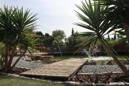 Quinta à venda nos Salicos - Sesmarias - Boavista