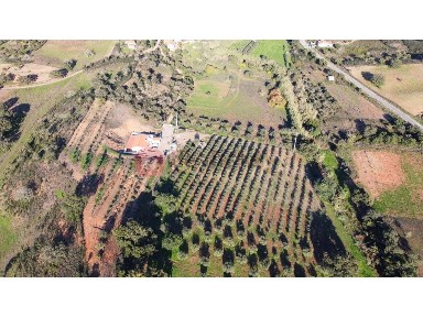 Quinta à venda em São Bartolomeu de Messines
