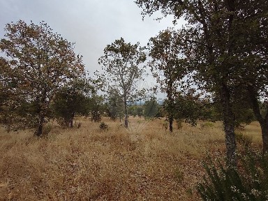 Quinta à venda em Penamacor