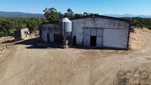 Quinta à venda em Aranhas