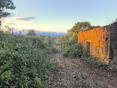 Quinta à venda em Fundão - Valverde - Donas - Aldeia de Joanes - Aldeia Nova do Cabo