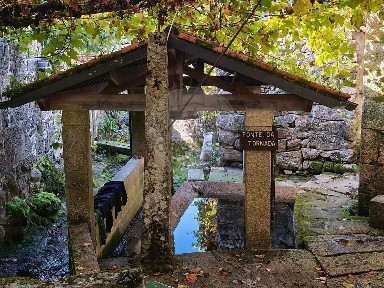 Moradia independente à venda em São Martinho De Braga