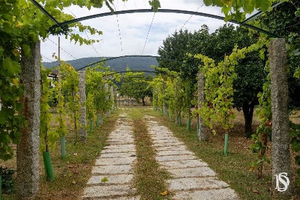Quinta à venda em Valença - Cristelo Covo - Arão